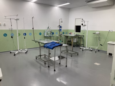Clínica Veterinária